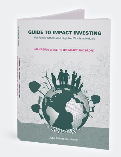 Guide to Impact Investing for Family Offices and High Net Worth Individuals